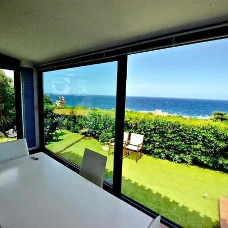 Apartment In 33684